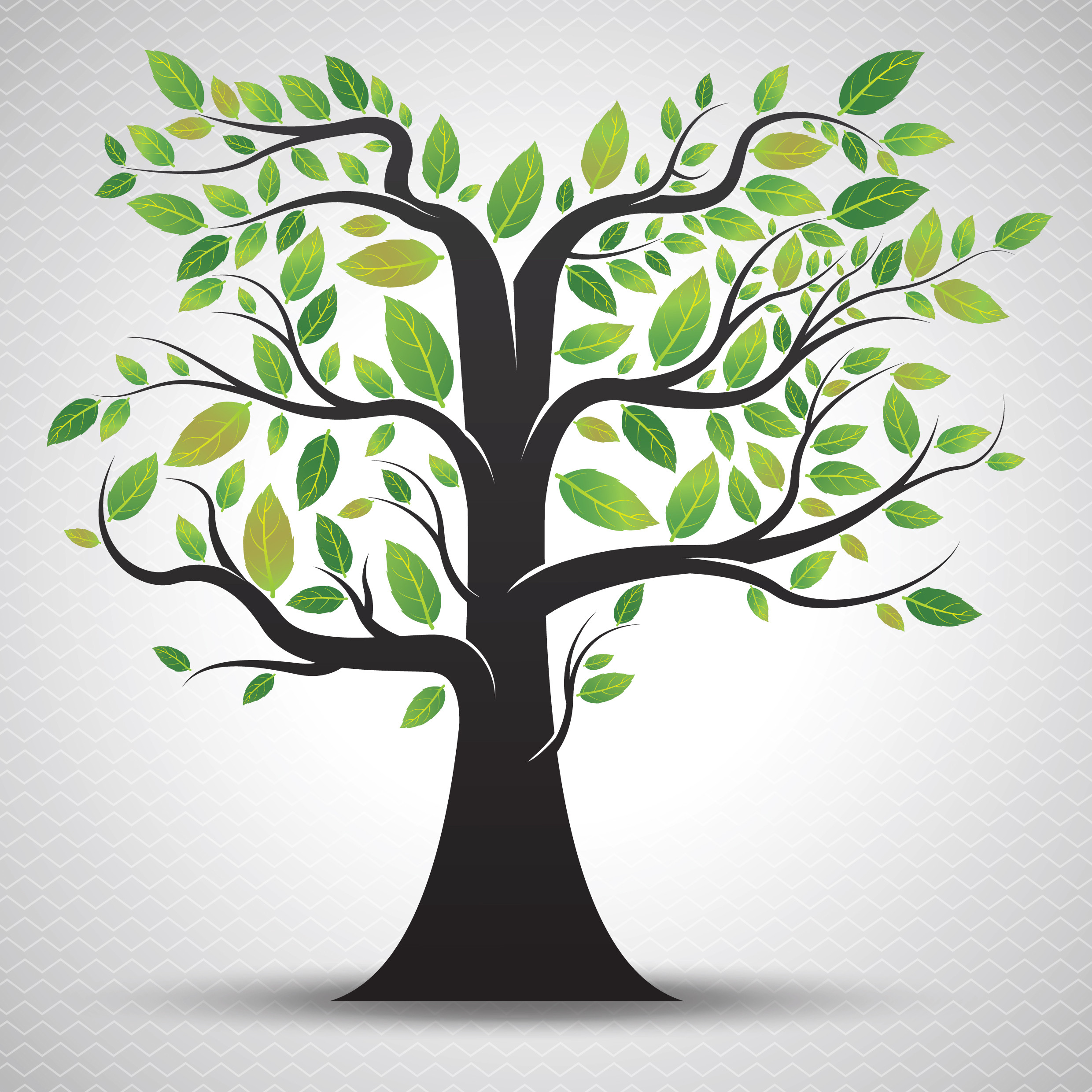 Laura Kalkowski's Ancestry Chronicles